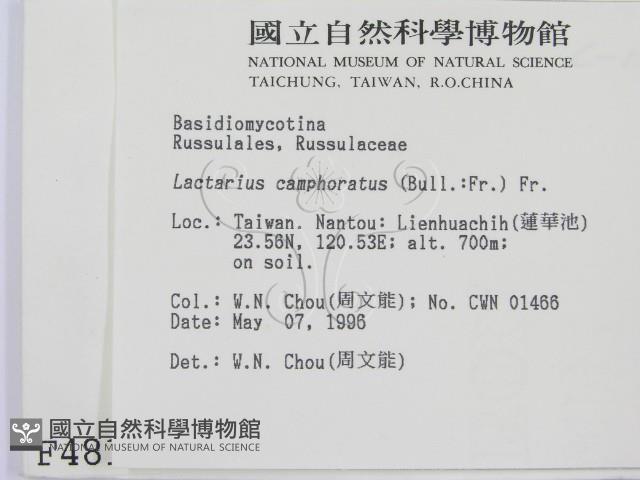 登錄號:F0004816藏品圖，第2張