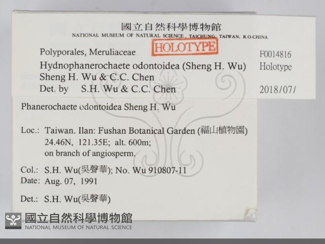 登錄號:F0014816藏品圖，第2張