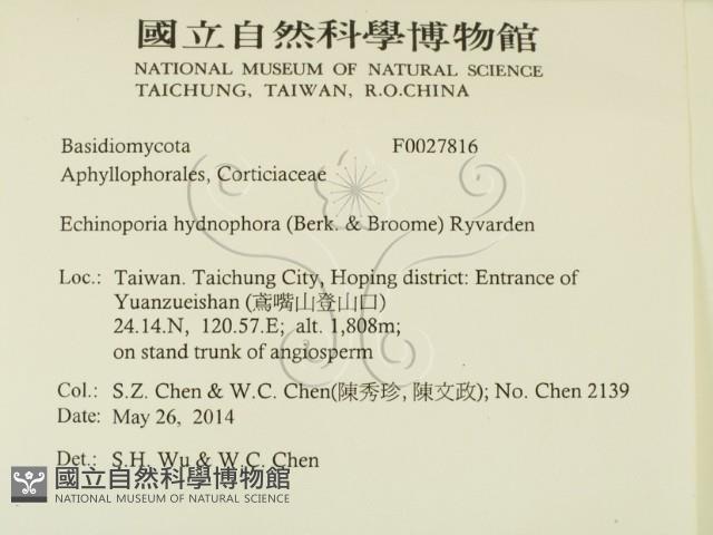 登錄號:F0027816藏品圖，第2張