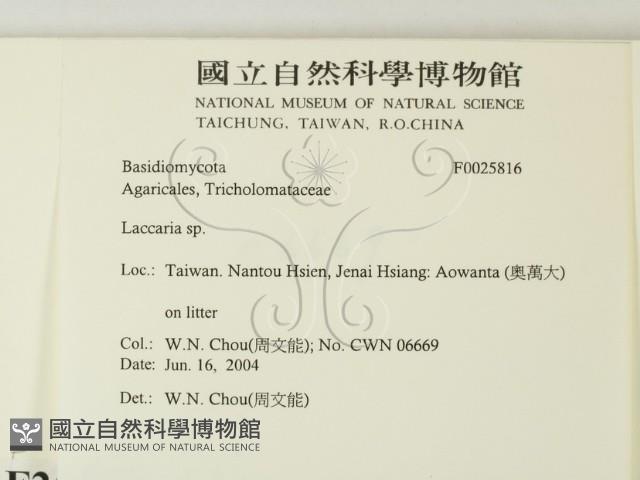 登錄號:F0025816藏品圖，第2張