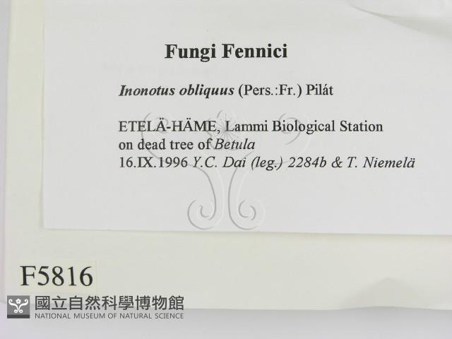 登錄號:F0005816藏品圖，第2張