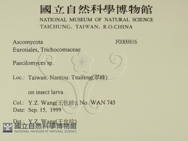 登錄號:F0009816藏品圖，第2張
