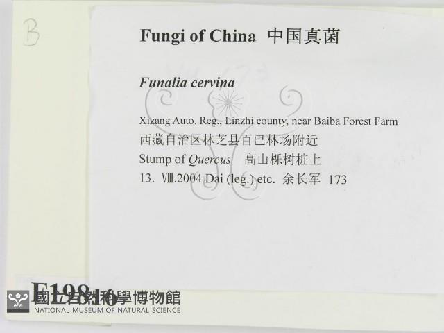 登錄號:F0019816藏品圖，第2張