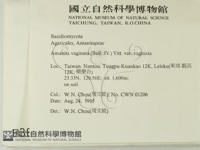 登錄號:F0003816藏品圖，第2張