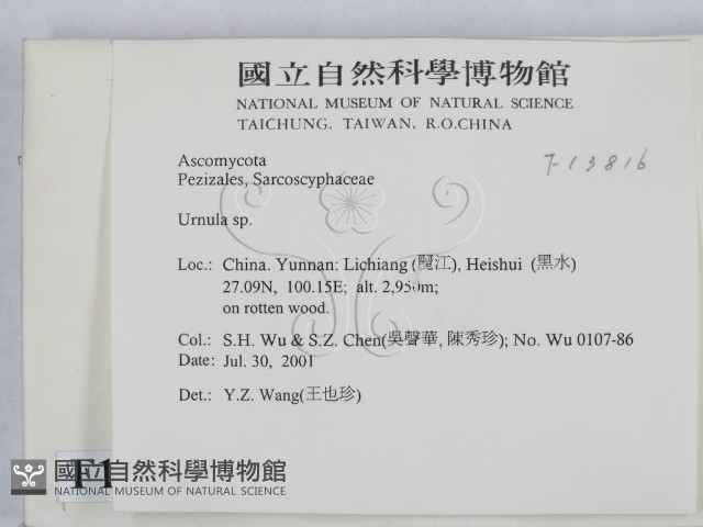 登錄號:F0013816藏品圖，第2張