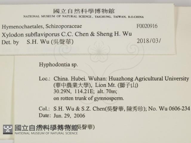 登錄號:F0020916藏品圖，第2張