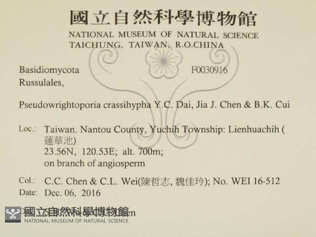 登錄號:F0030916藏品圖，第2張