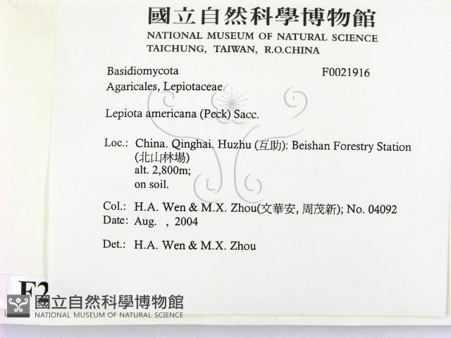 登錄號:F0021916藏品圖，第2張