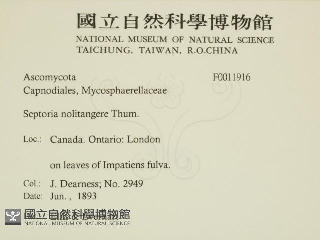 登錄號:F0011916藏品圖，第2張