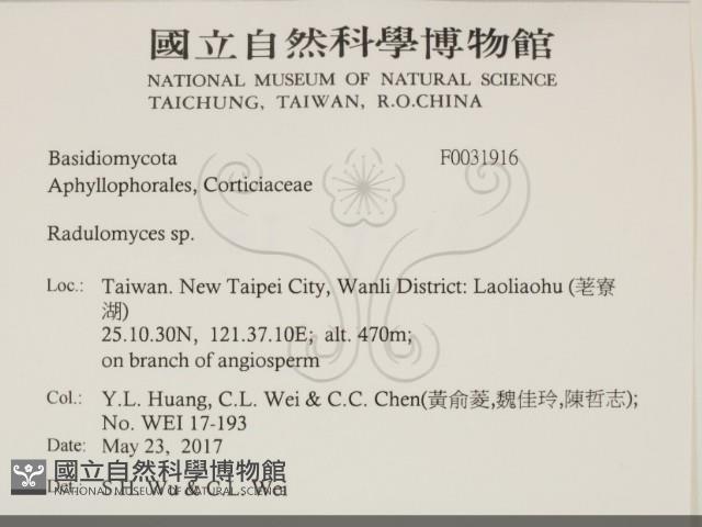 登錄號:F0031916藏品圖，第2張