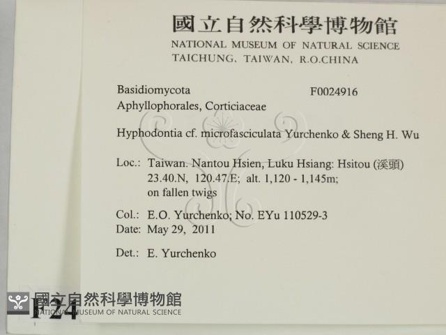 登錄號:F0024916藏品圖，第2張