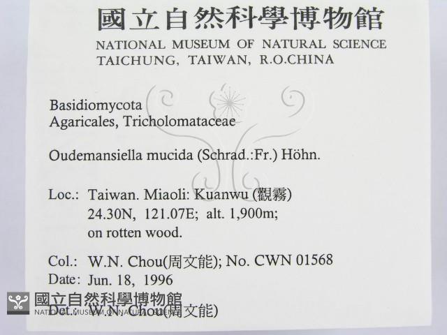 登錄號:F0004916藏品圖，第2張