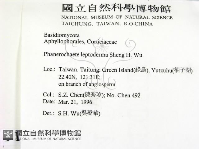 登錄號:F0014916藏品圖，第2張