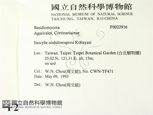 登錄號:F0022916藏品圖，第2張