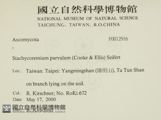登錄號:F0012916藏品圖，第2張