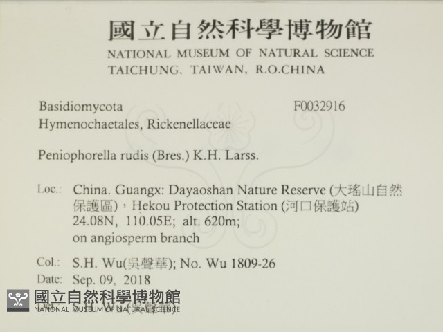 登錄號:F0032916藏品圖，第2張
