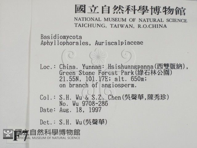 登錄號:F0007916藏品圖，第2張
