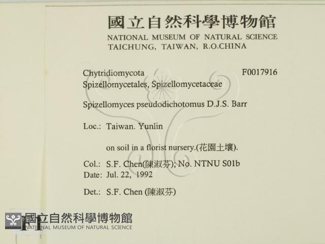 登錄號:F0017916藏品圖，第2張