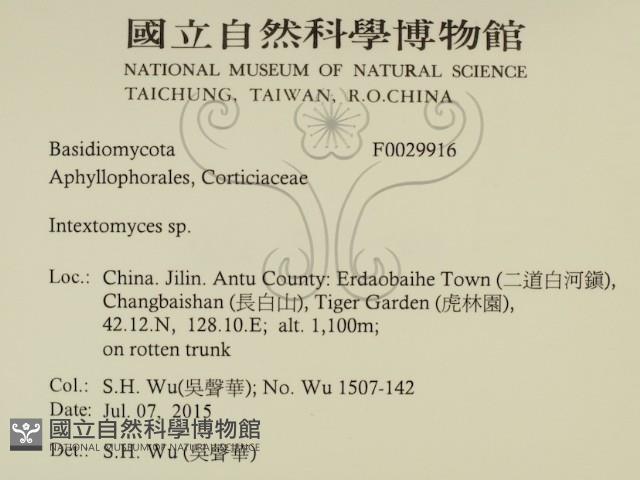 登錄號:F0029916藏品圖，第2張