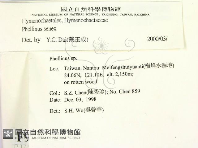 登錄號:F0009916藏品圖，第2張