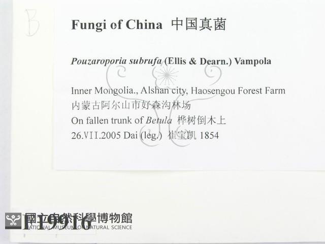 登錄號:F0019916藏品圖，第2張