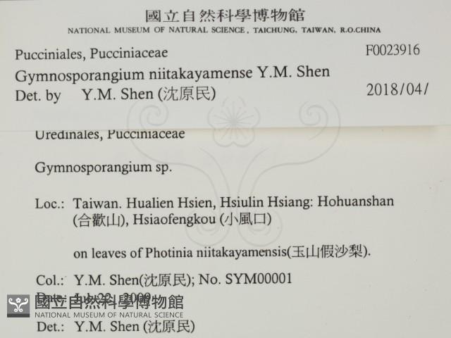 登錄號:F0023916藏品圖，第2張