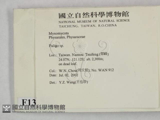 登錄號:F0013916藏品圖，第2張