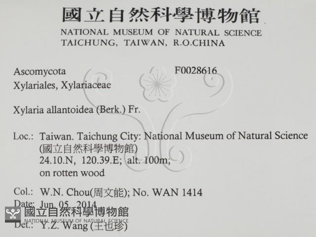 登錄號:F0028616藏品圖，第2張