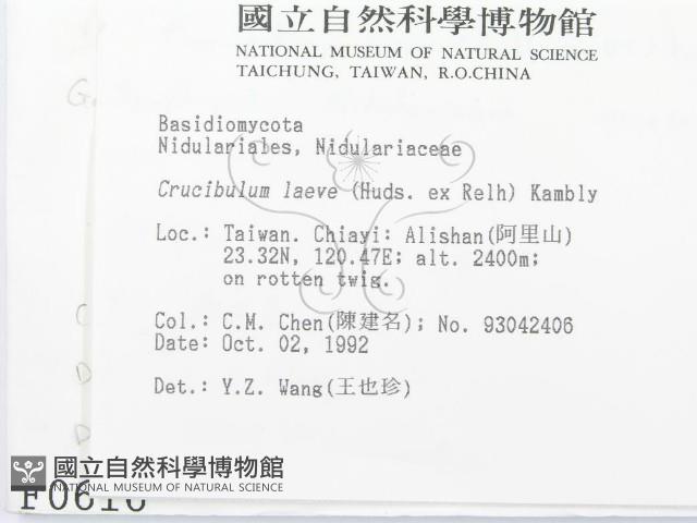 登錄號:F0000616藏品圖，第2張