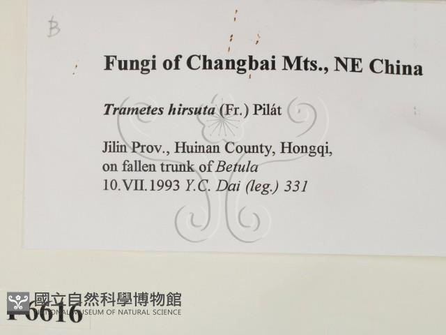 登錄號:F0006616藏品圖，第2張