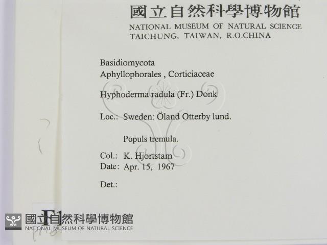 登錄號:F0016616藏品圖，第2張