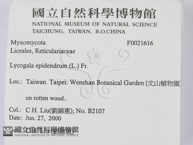 登錄號:F0021616藏品圖，第2張