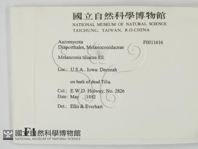登錄號:F0011616藏品圖，第2張
