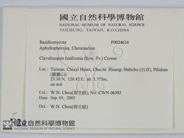 登錄號:F0024616藏品圖，第2張