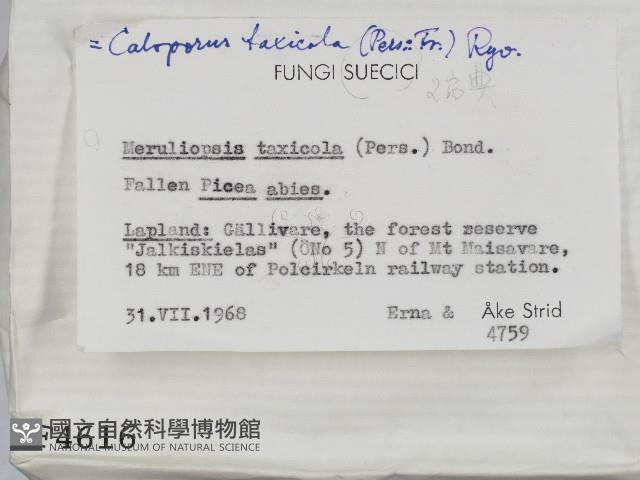 登錄號:F0004616藏品圖，第2張