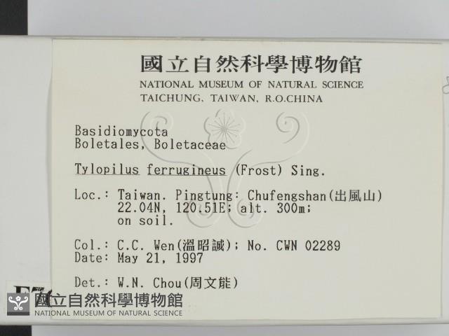 登錄號:F0007616藏品圖，第2張