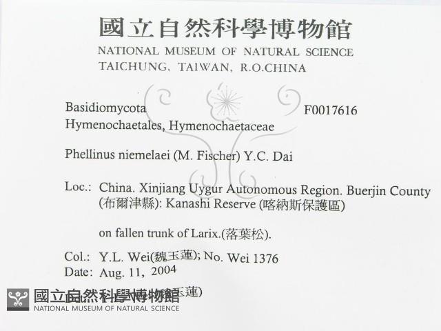 登錄號:F0017616藏品圖，第2張