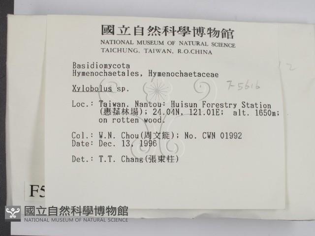 登錄號:F0005616藏品圖，第2張