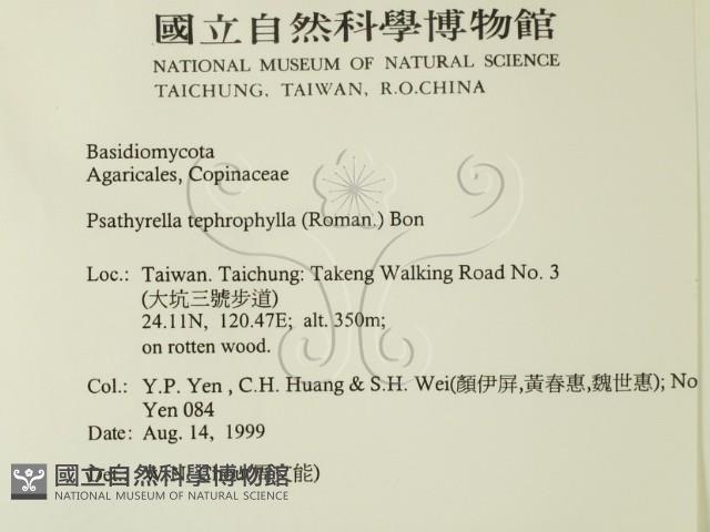 登錄號:F0015616藏品圖，第2張