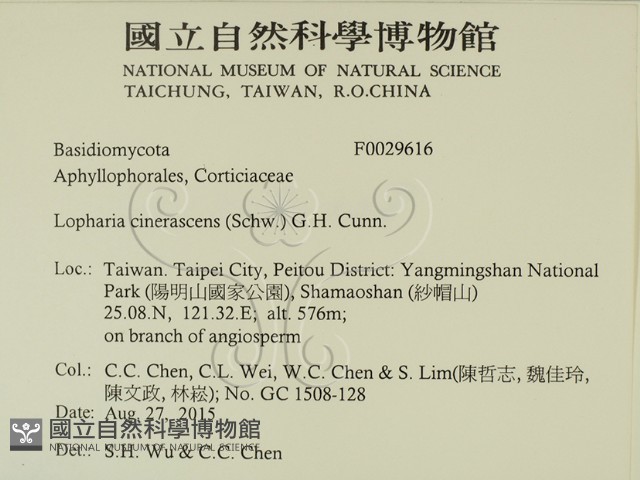 登錄號:F0029616藏品圖，第2張