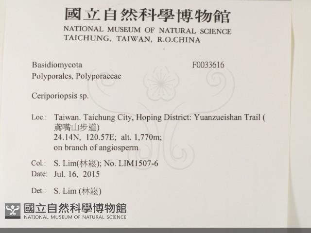 登錄號:F0033616藏品圖，第2張