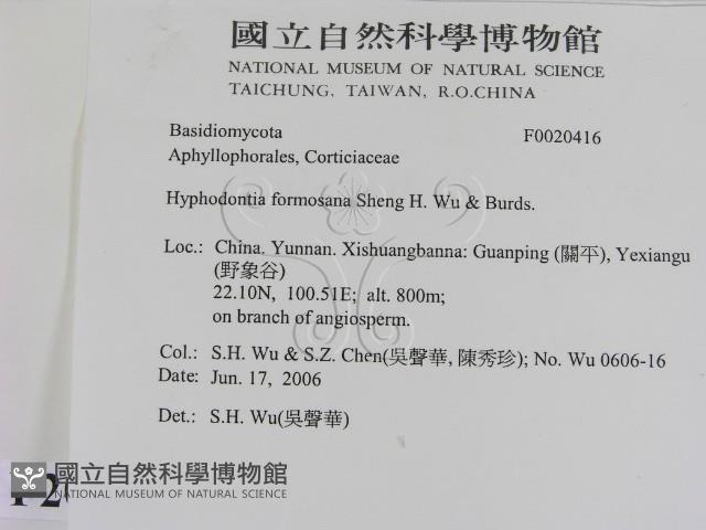 登錄號:F0020416藏品圖，第2張