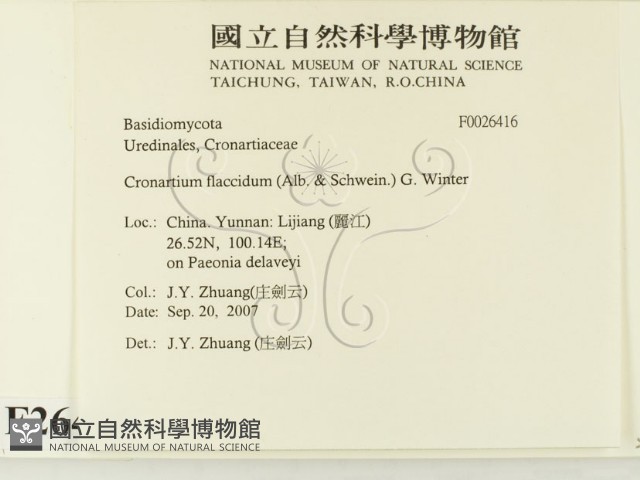 登錄號:F0026416藏品圖，第2張