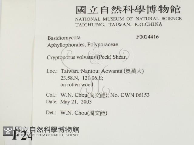登錄號:F0024416藏品圖，第2張