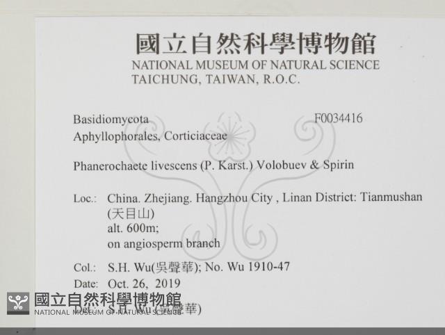 登錄號:F0034416藏品圖，第2張