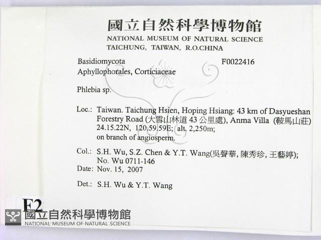 射脈菌屬藏品圖，第2張