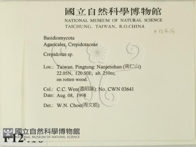 登錄號:F0012416藏品圖，第2張