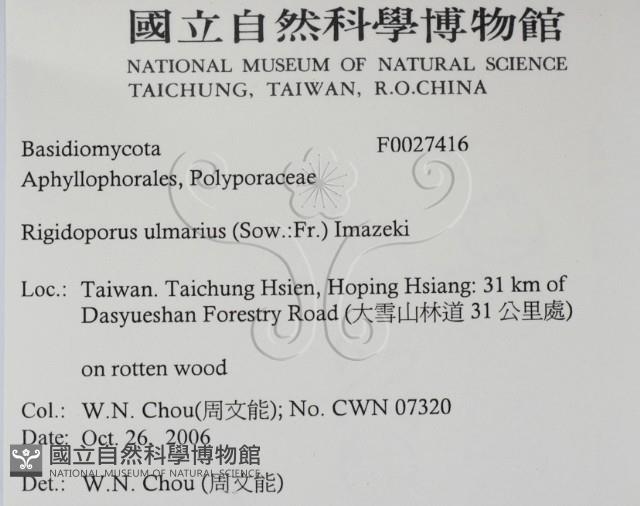 登錄號:F0027416藏品圖，第2張