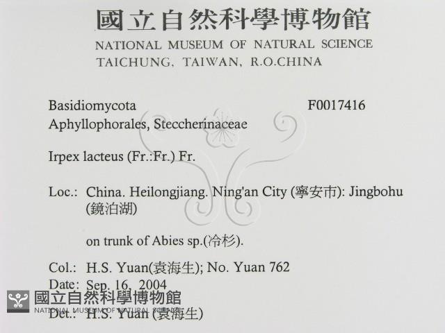登錄號:F0017416藏品圖，第2張
