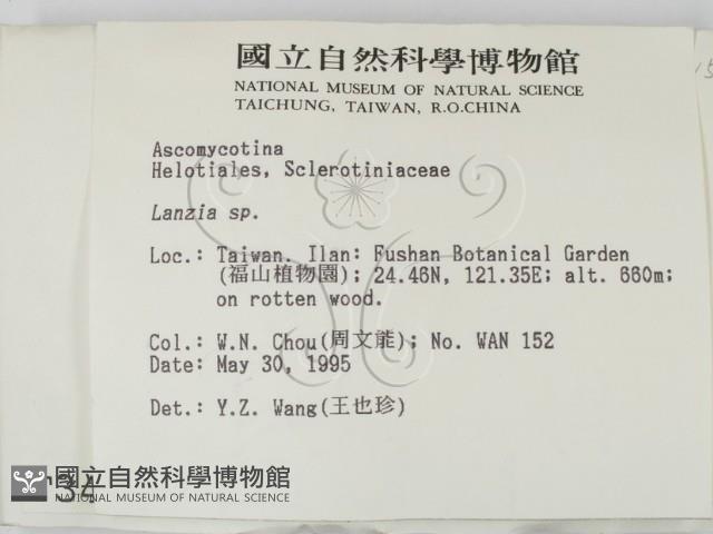 登錄號:F0003416藏品圖，第2張